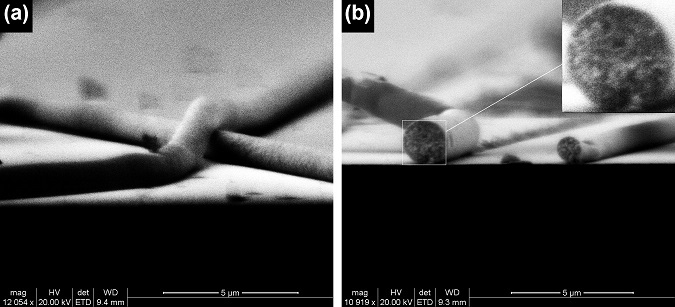 Electrospining fibers